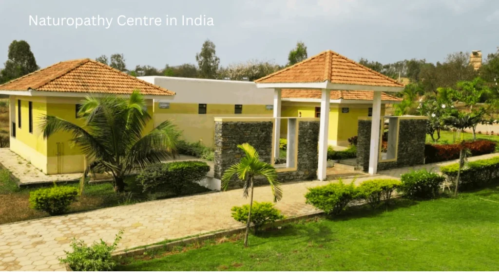 Naturopathy Centre in India