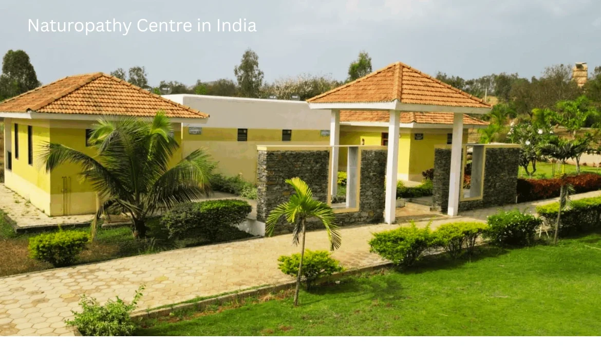 Naturopathy Centre in India