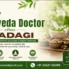 Ayurveda Doctor Near Byadagi