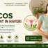 PCOS Treatment in Haveri
